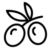 زيتون