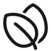 الغار