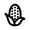 ذرة